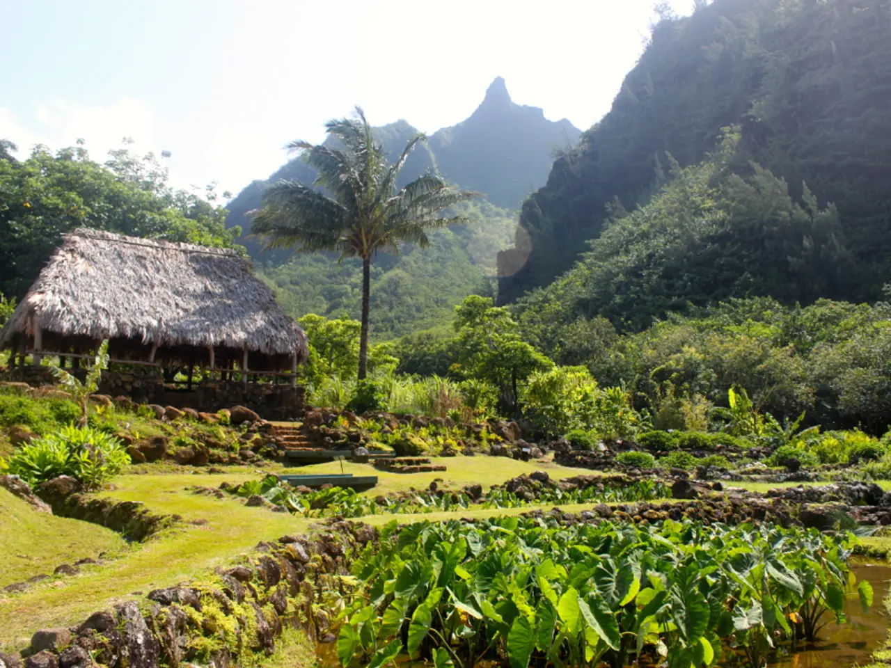 Pelvic Pain Explored: 15 Potential Causes Identified