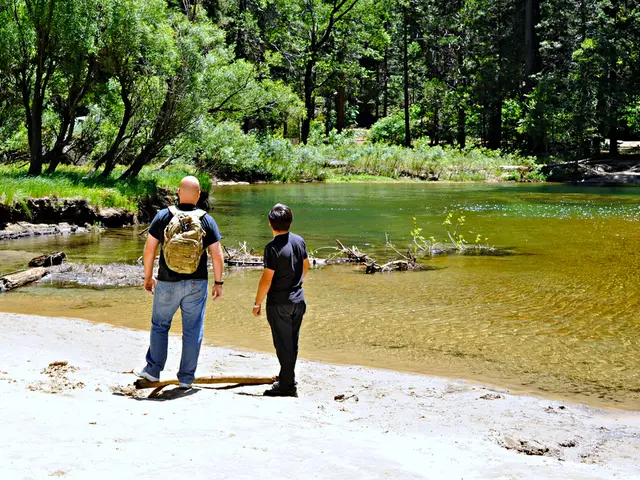 What constitutes a desirable interest rate for a savings account?